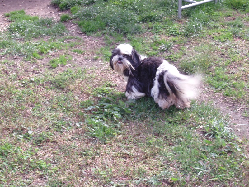 Tchu liane du clos chadocay